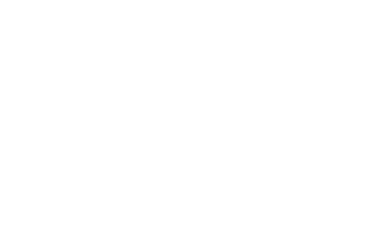 German Design Award Logo